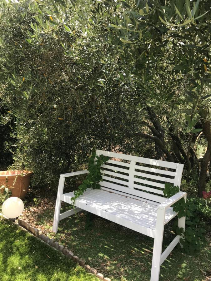 Chambre D Hotes Au Coeur Des Oliviers Marseille Bagian luar foto