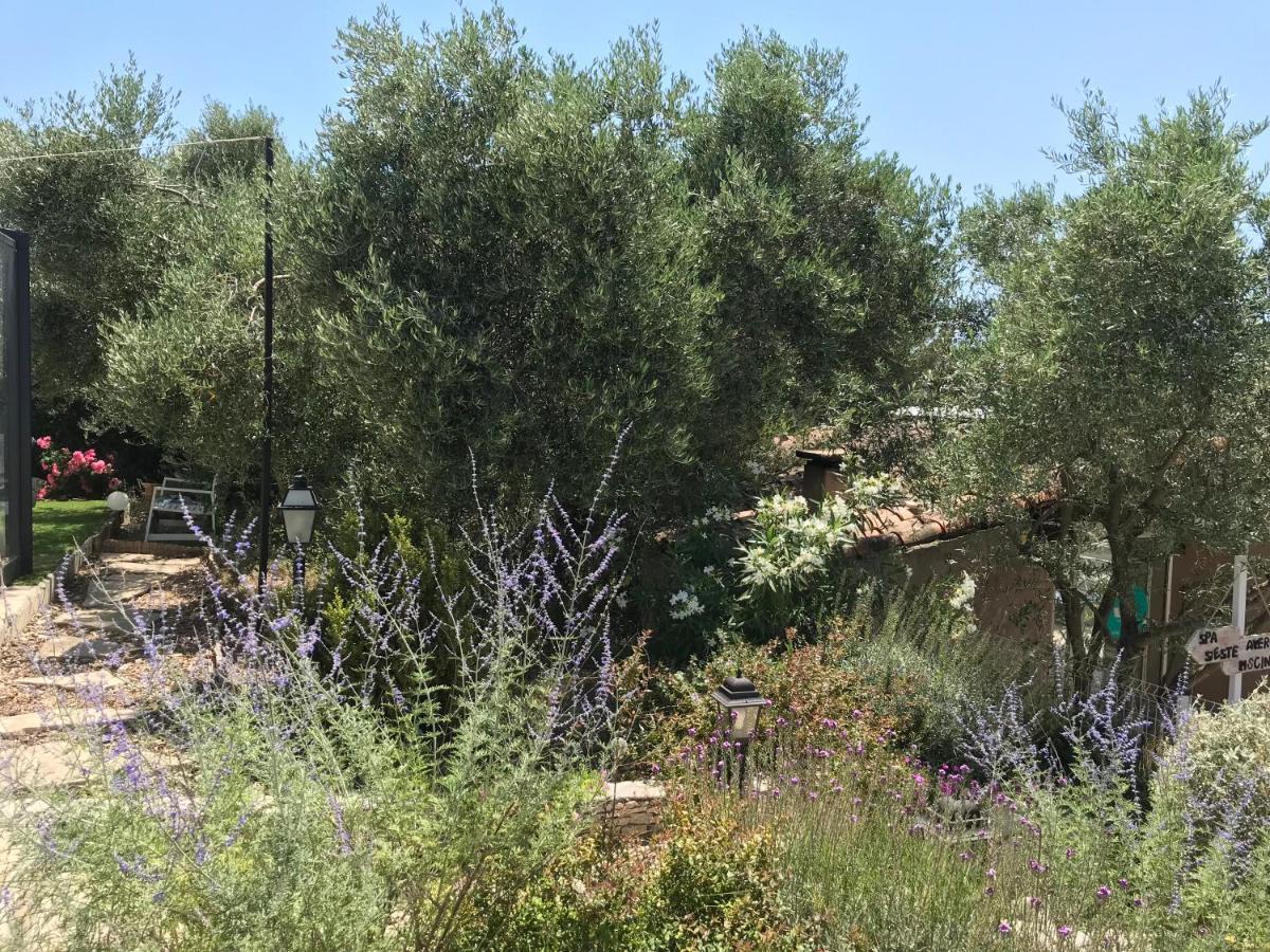 Chambre D Hotes Au Coeur Des Oliviers Marseille Bagian luar foto