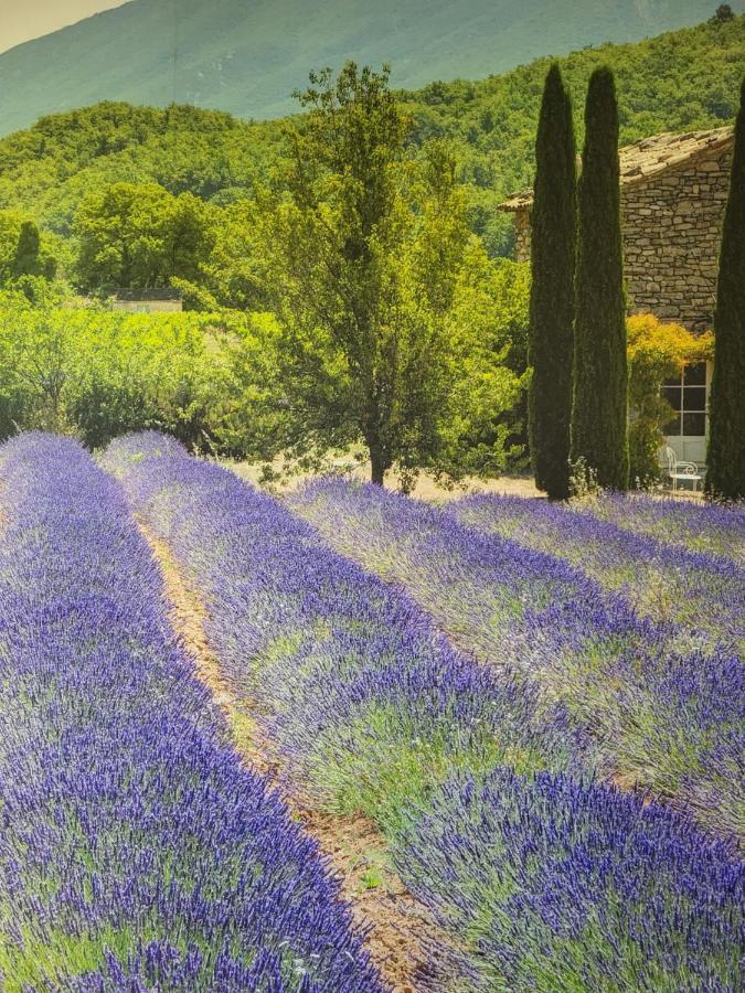 Chambre D Hotes Au Coeur Des Oliviers Marseille Bagian luar foto